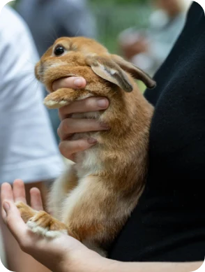 Lorem Ipsum is simply dummy text of the printing