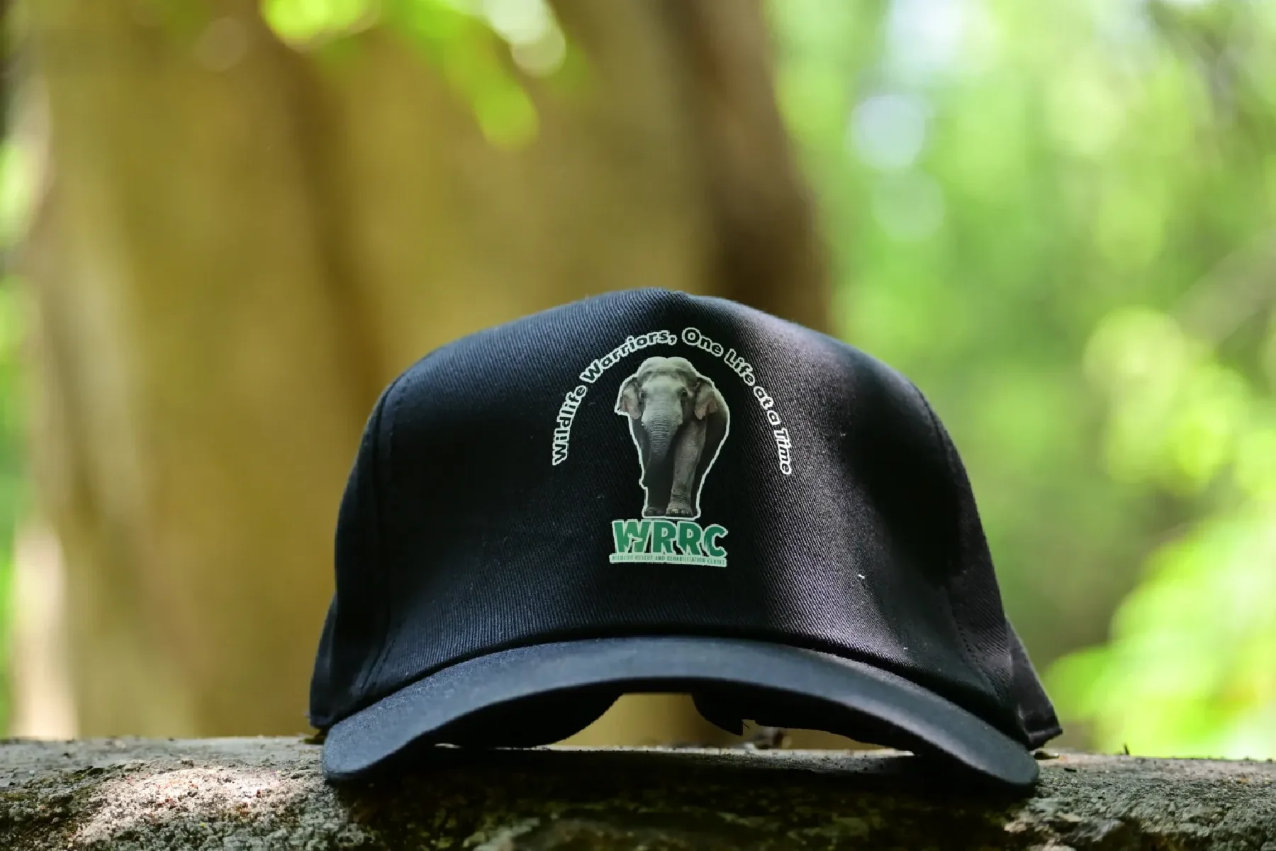 wrrc-cap