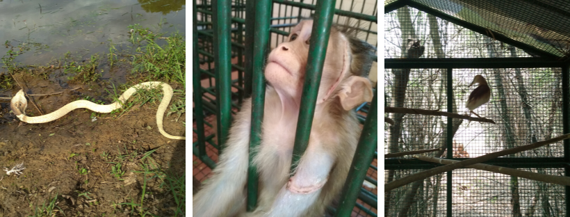 April-May 2020 | Round Up