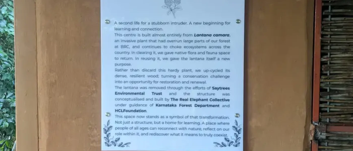 WhatsApp Image 2025-07-31 at 10.47.09 AM